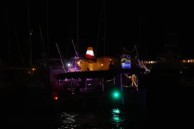 DSC_2545 (Large).JPG